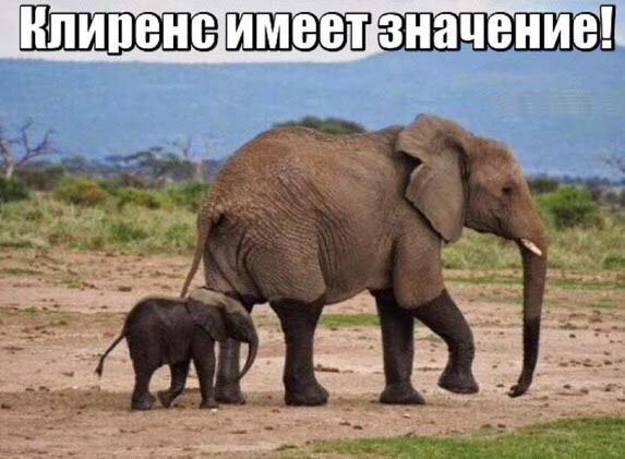 Клиренс