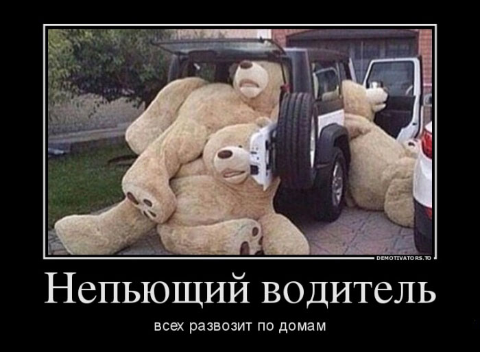 Непьющий водитель