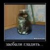 467491 zaebali-gladit 467491 zaebali-gladit