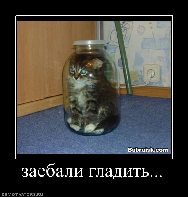 467491 zaebali-gladit