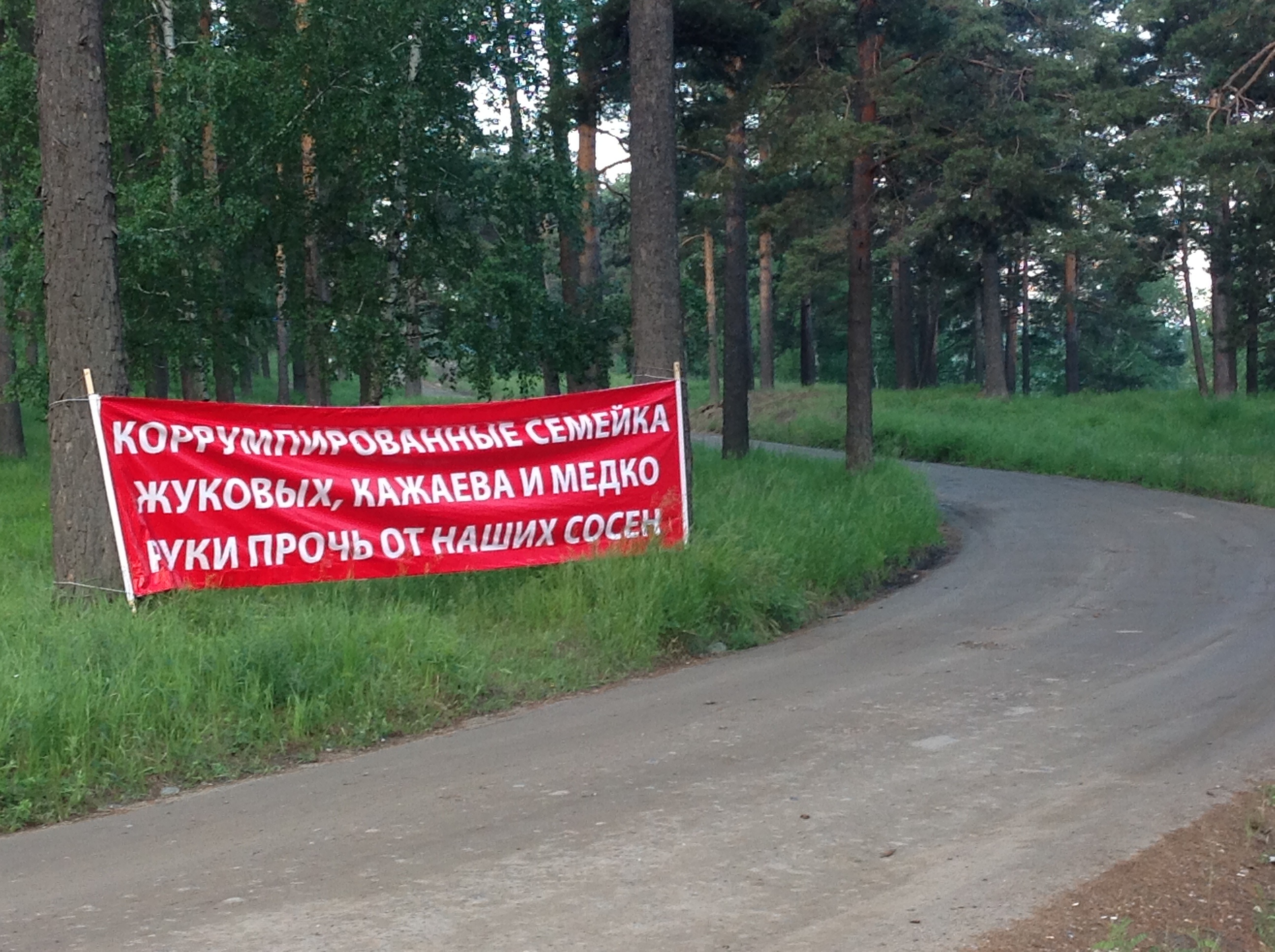 Плакат в лесу возле 209 квартала