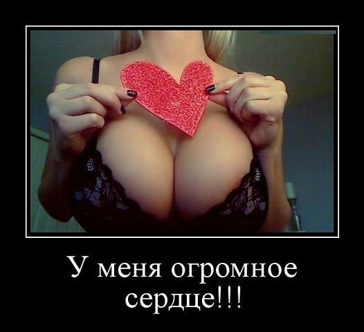Без названия