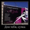 Жучка
