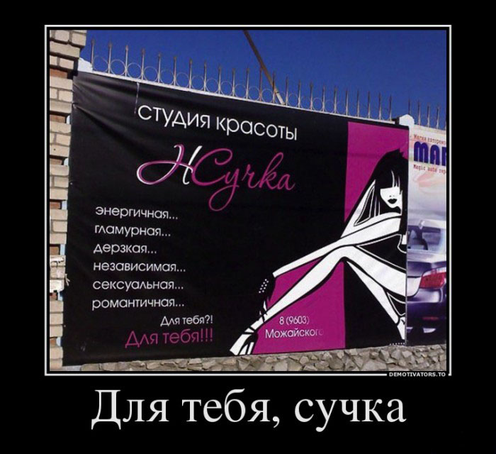 Жучка