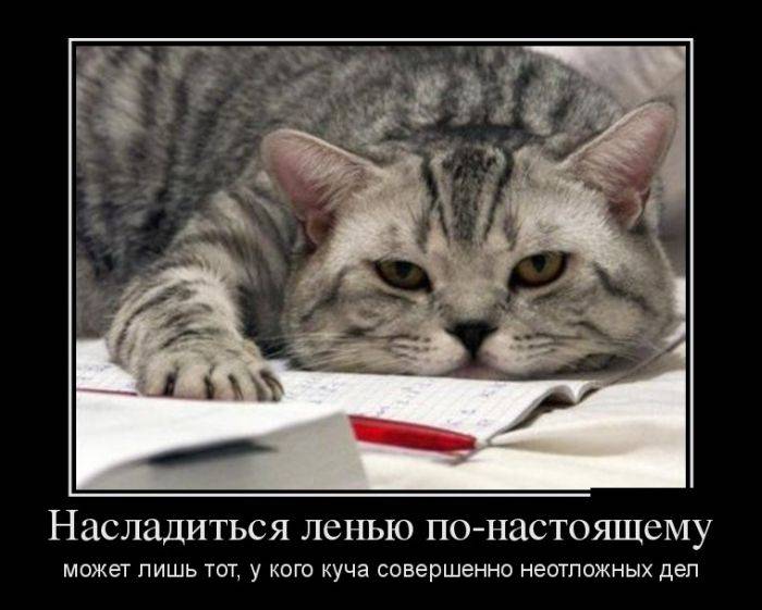Насладиться ленью-по настоящему
