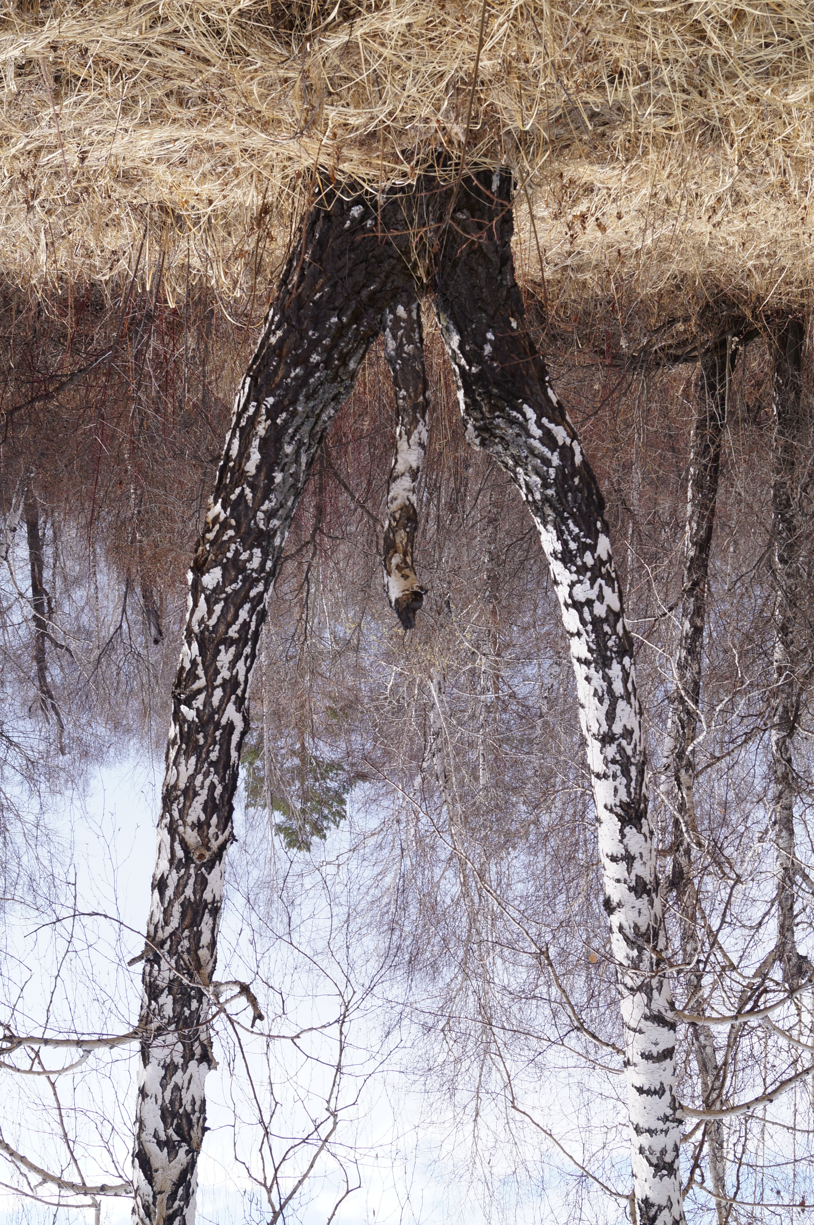 Импотенция