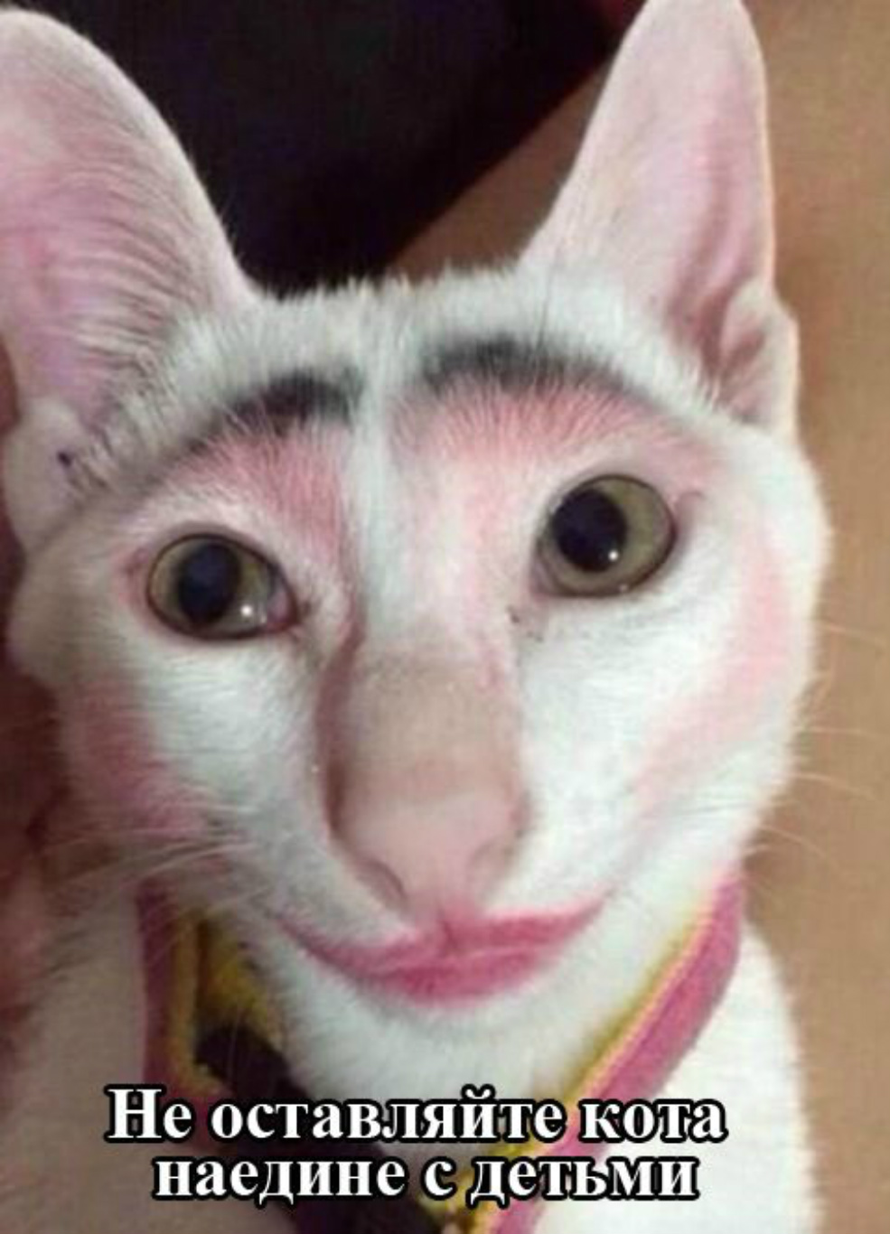 Кот наедине с детьми-побыл...