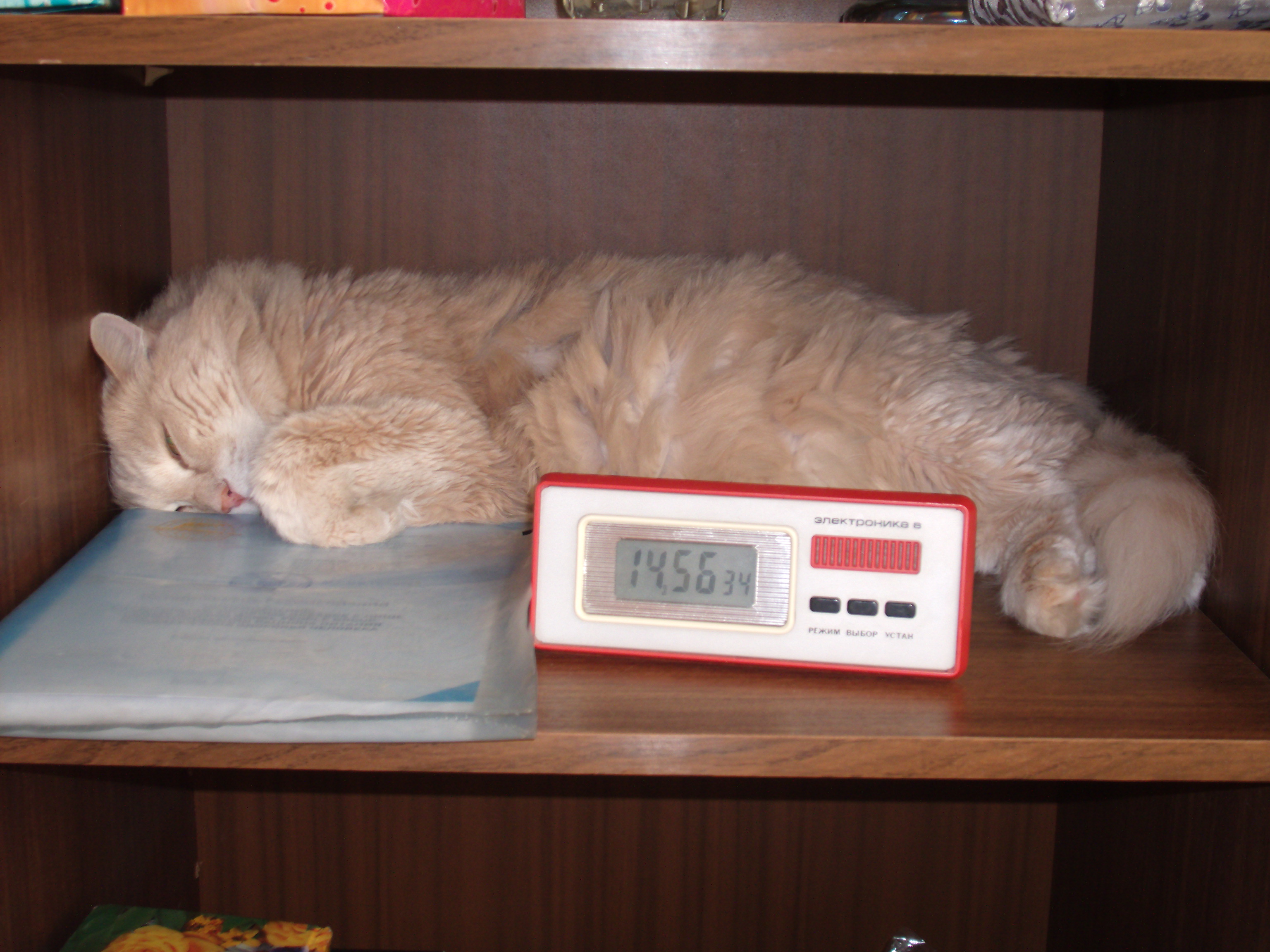 Зачитался,устал и уснул.