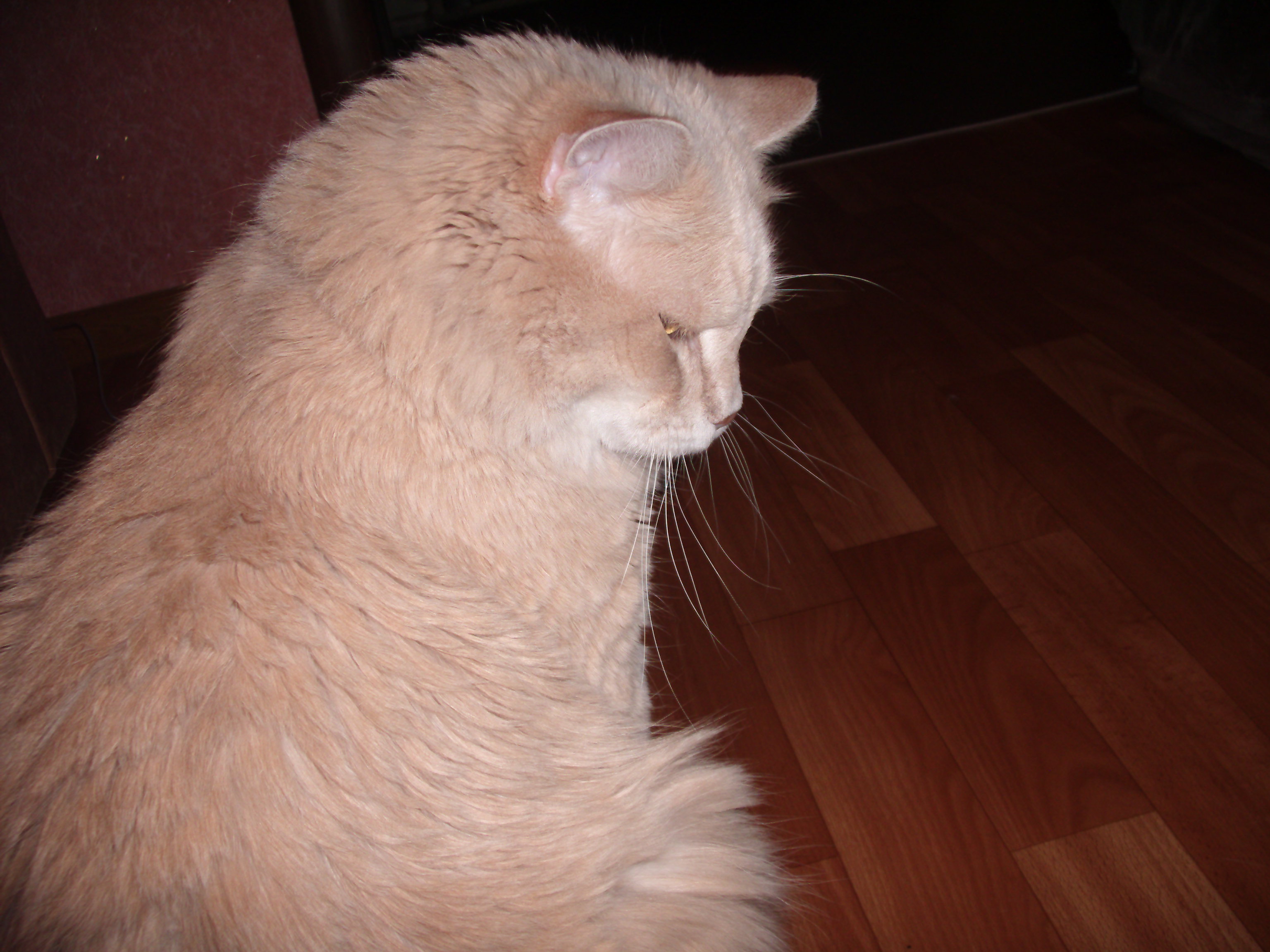 отстаньте,я думаю.