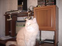 в ожидании новых фоток.