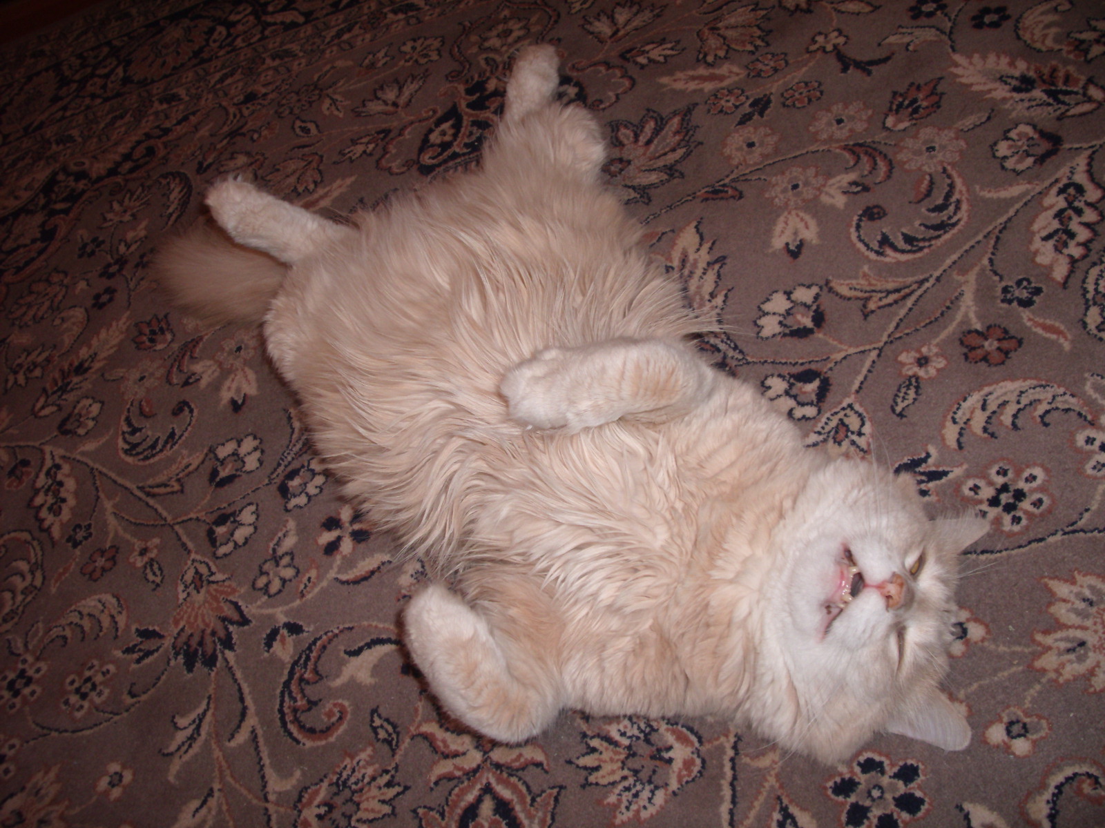 Крепкий сон.