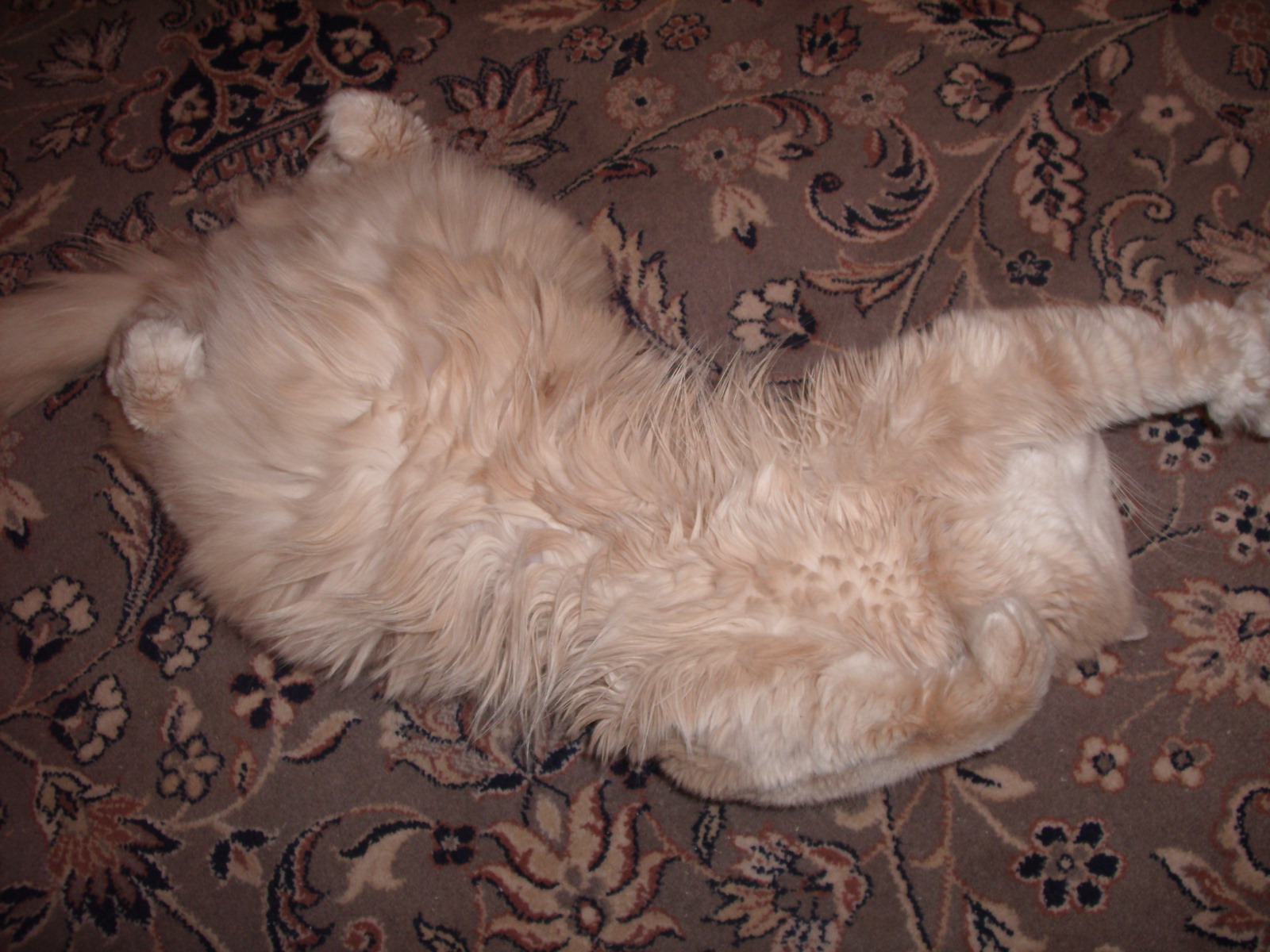 Потягушечки.