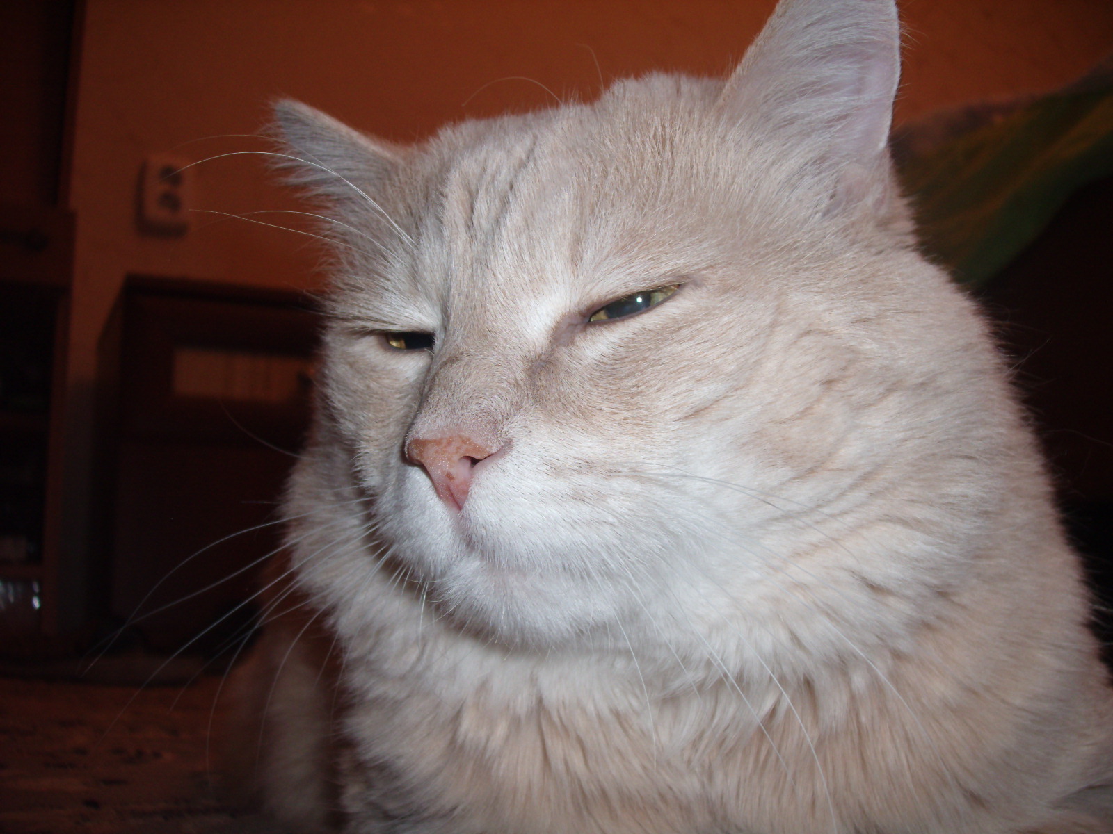 не люблю я вспышку.