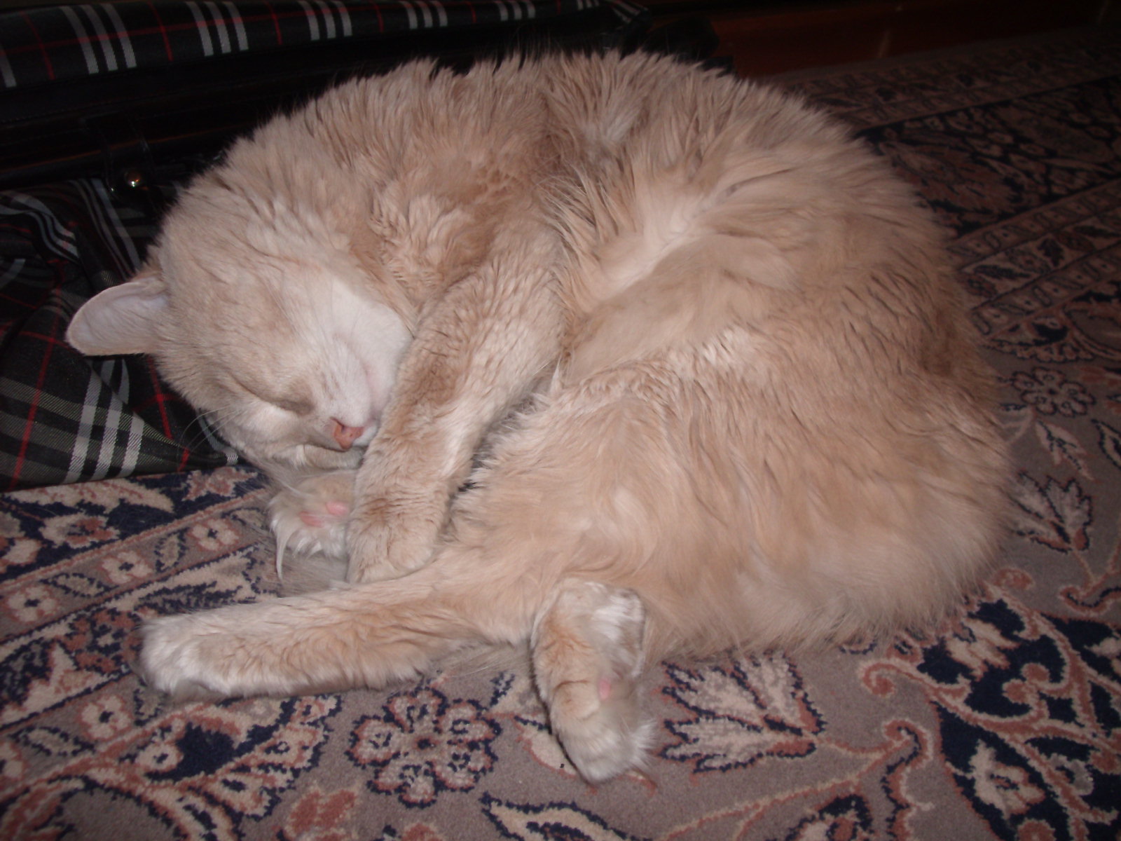 можно дальше спать)))