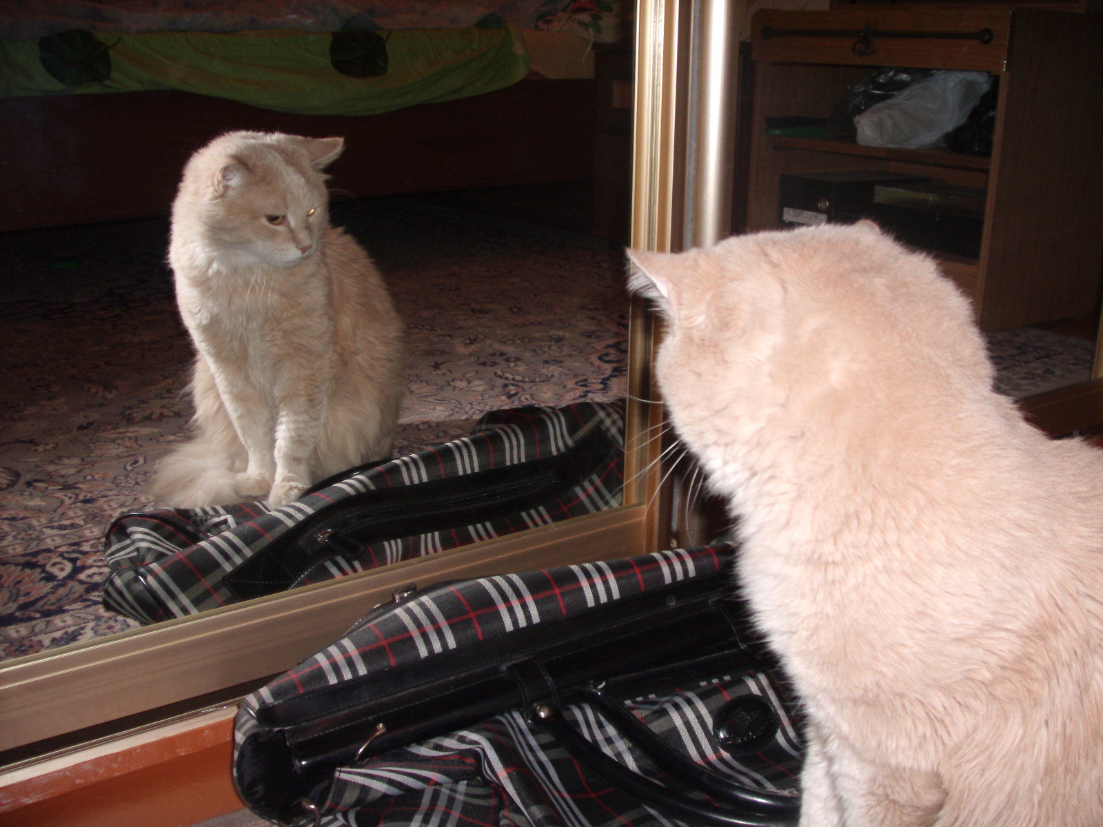 подушка вернулась)))