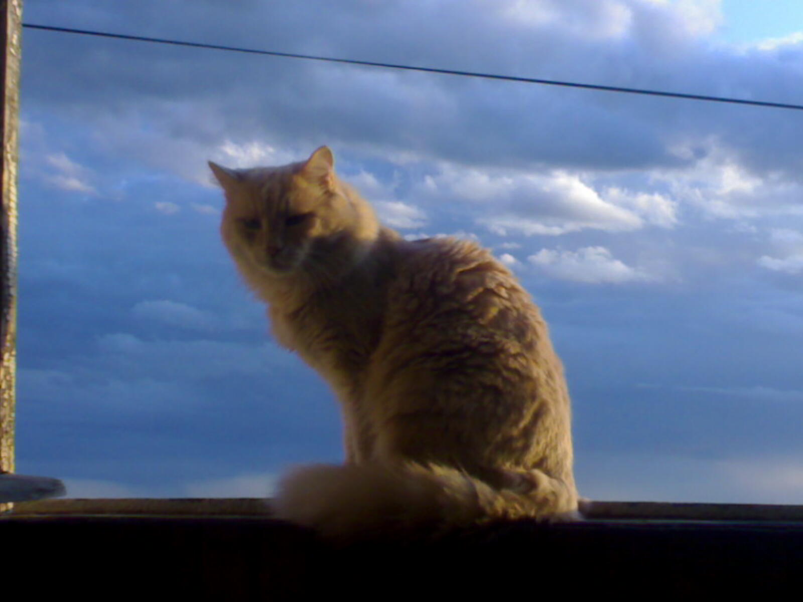 В Серёгину коллекцию.