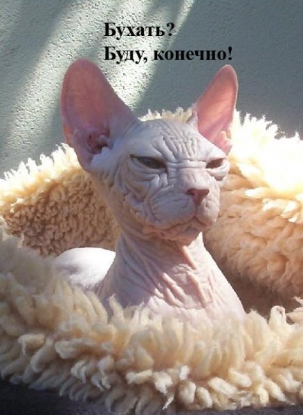 Эффект Нового года!!!