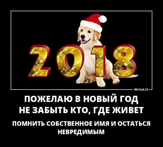 Пожелание