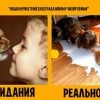 Радость новому члену семьи