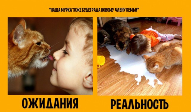 Радость новому члену семьи