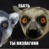 ты незбагоин!!!! ты незбагоин!!!!