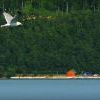 Порт Байкал 2012 (33)
