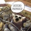 я нажел браблему))))))