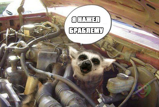 я нажел браблему))))))