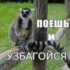боешь и узбагойзя)))) боешь и узбагойзя))))