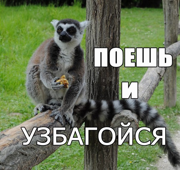 боешь и узбагойзя))))