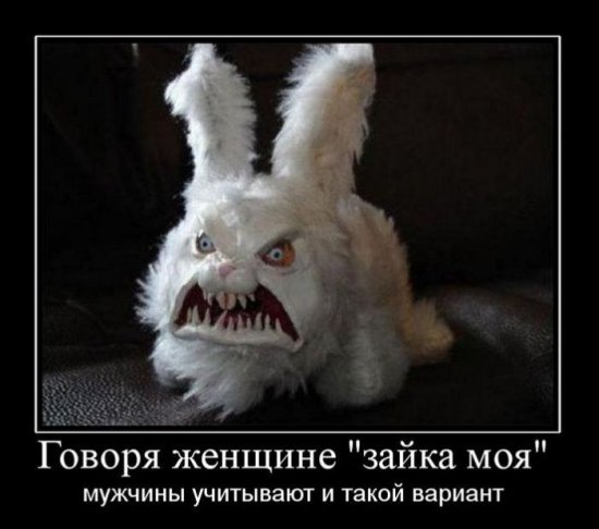 Зайка моя