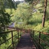 Лестничный спуск Лестничный спуск
