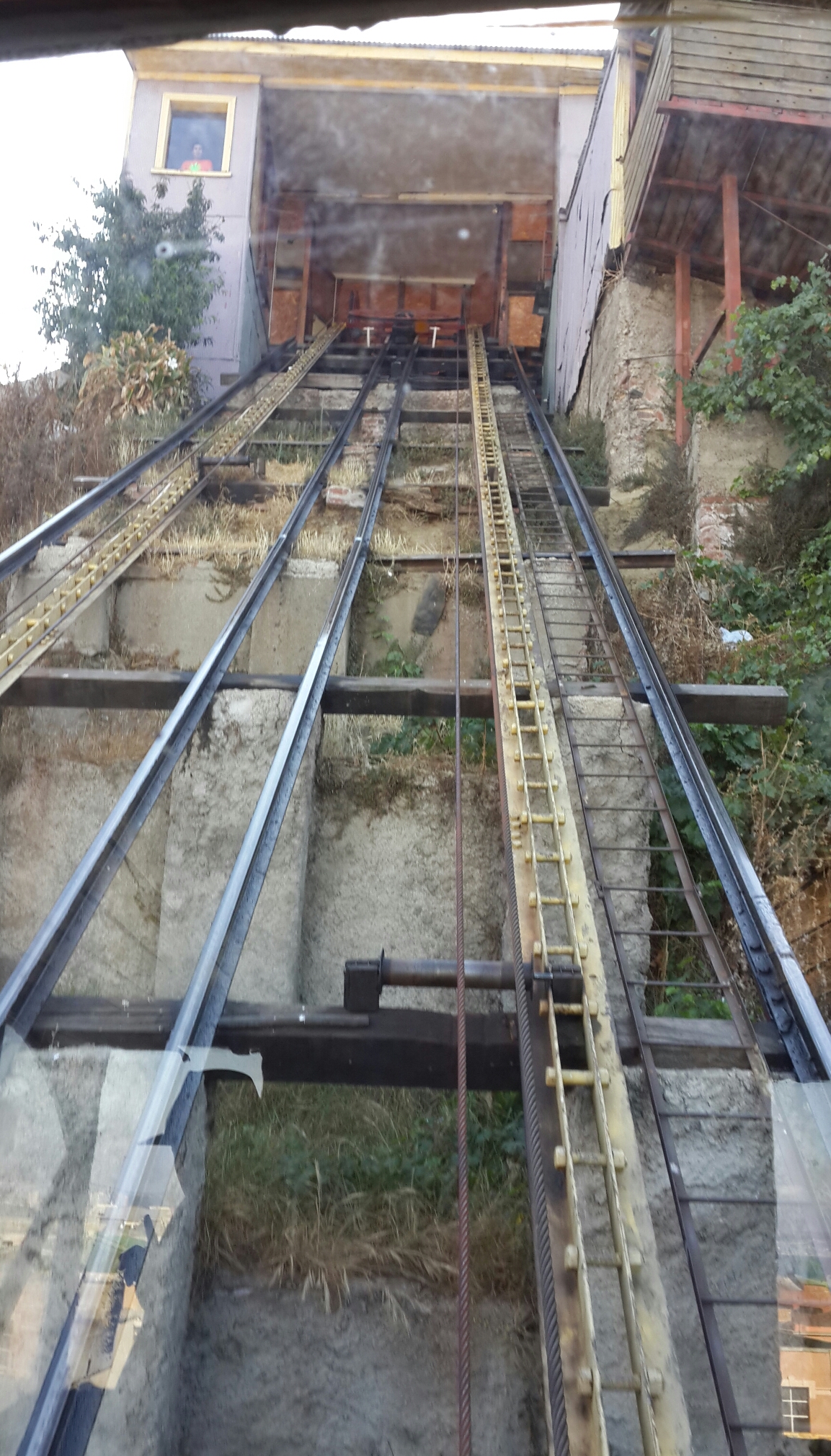 вези меня, тележечка, вези