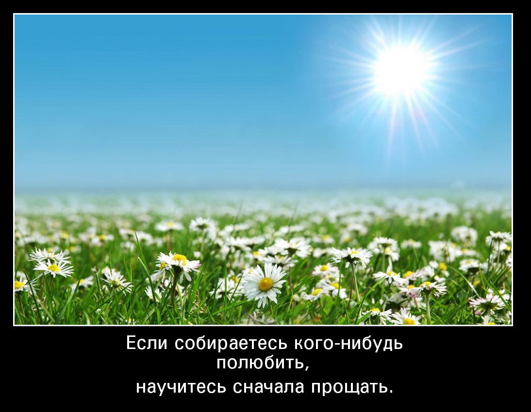Научитесь прощать