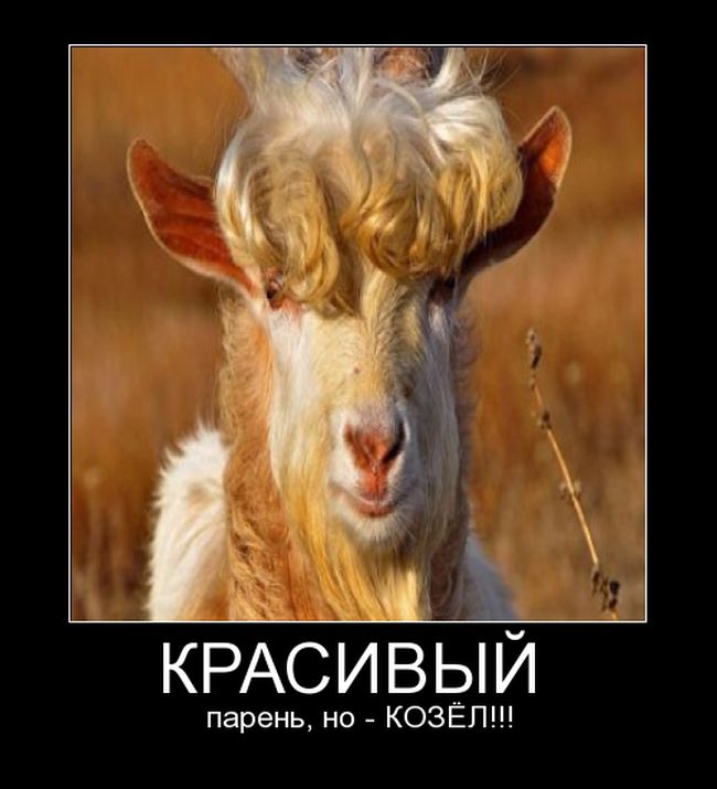 Козёл