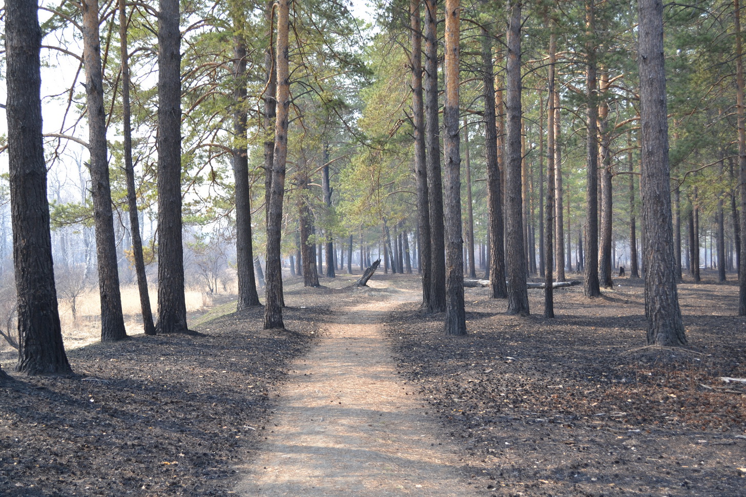 Горелый май))))))