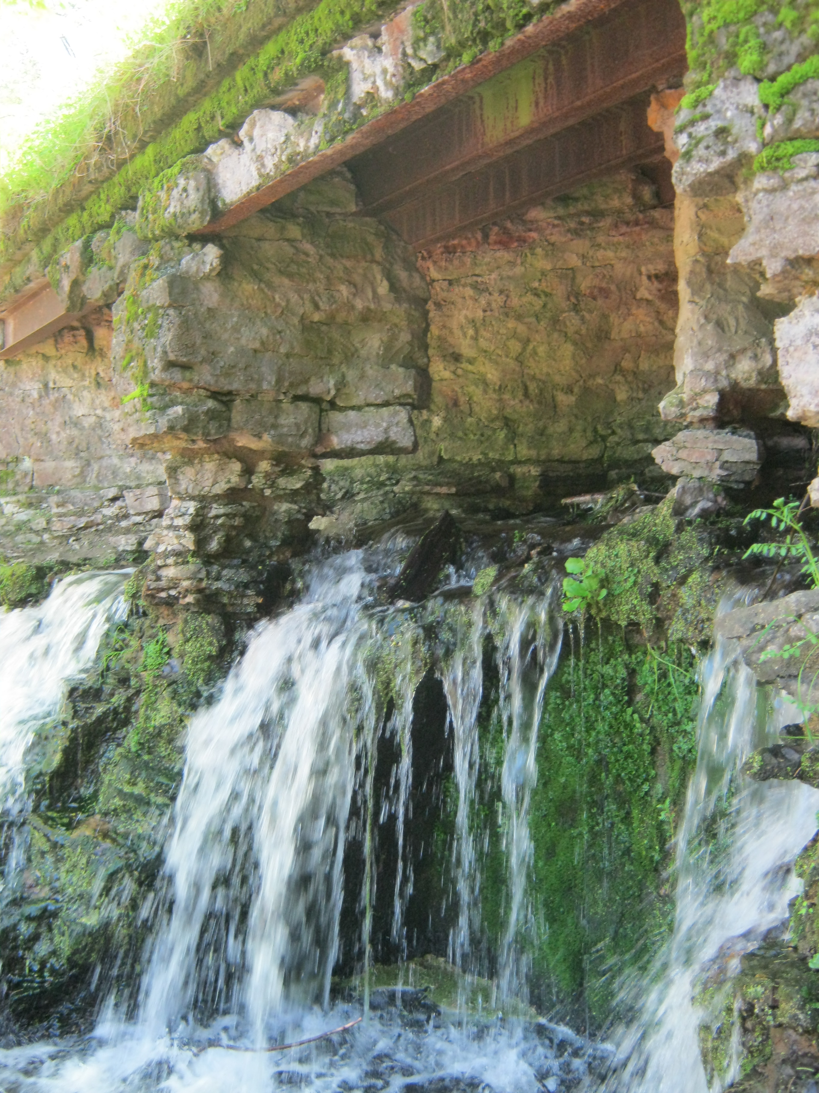 Павловский парк