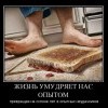 Жизнь умудряет...