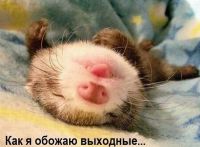 )) ))