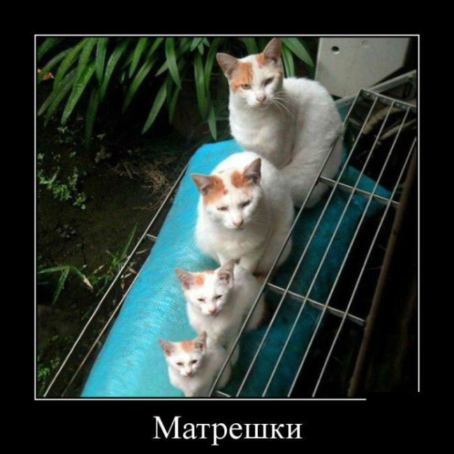 Матрешки