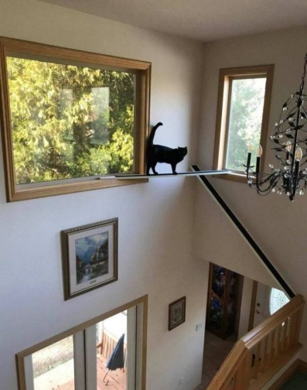 Всё для котэ