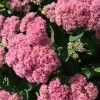 ! !