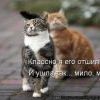 Котэ