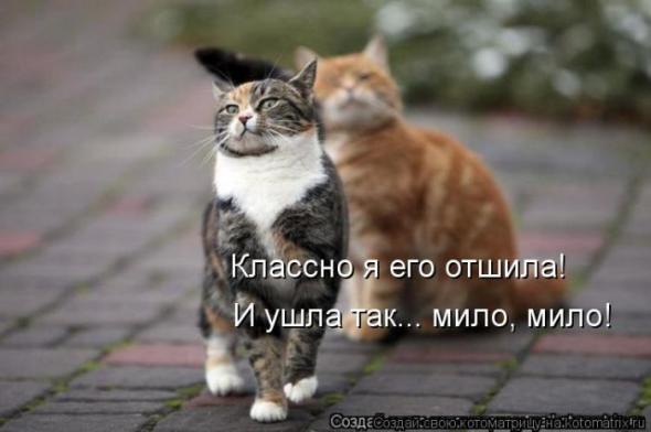 Котэ
