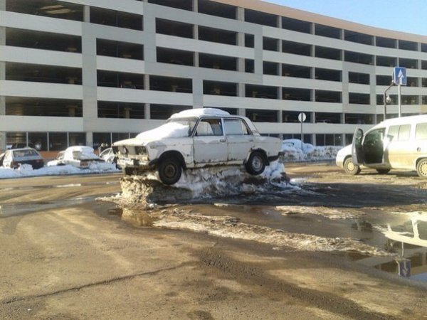 "кто ж его посадит., - это ж памятник"... )))