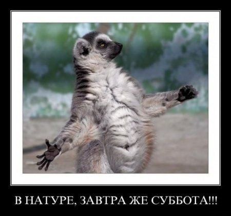 внадуре завдраже зубода)))))))