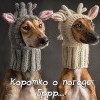 Коротко о погоде