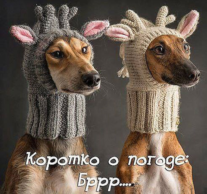 Коротко о погоде