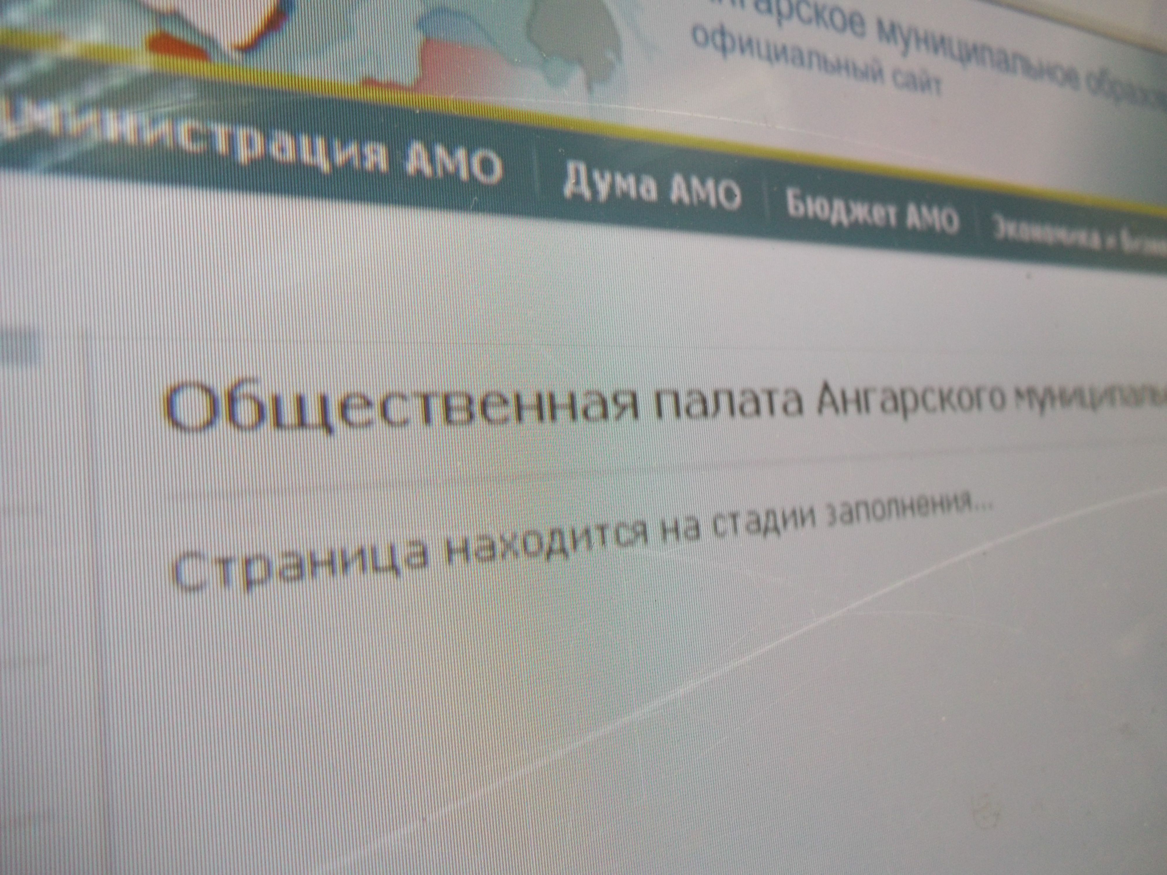 нынешнее состояние Общественной палаты АМО нынешнее состояние Общественной палаты АМО