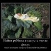 Фокус с капустой Фокус с капустой
